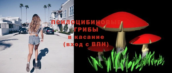 дживик Лихославль