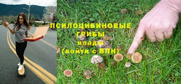 соль ск Лиски